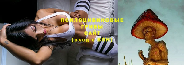 первитин Мегион