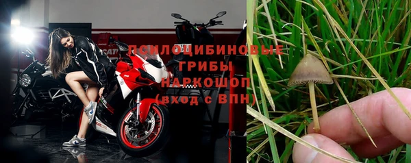меф Медногорск