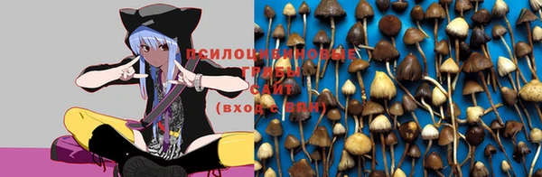 меф Медногорск